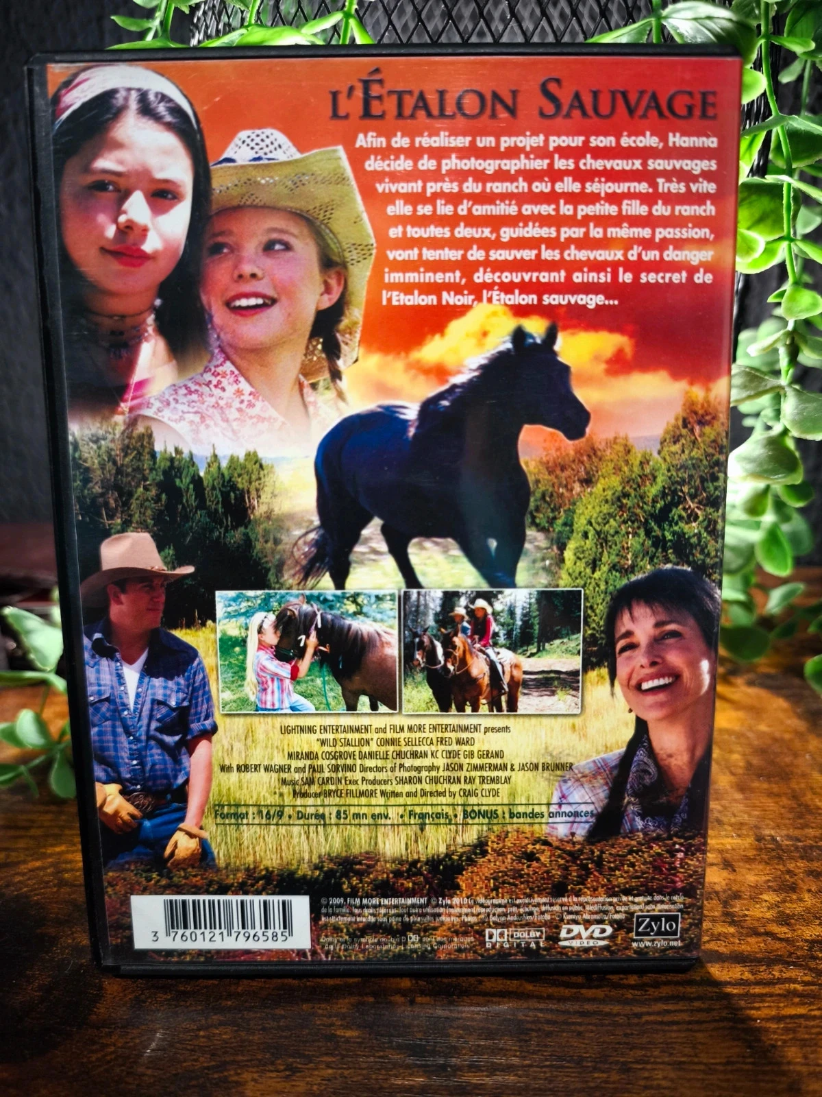 The Wild Stallion – photo 2